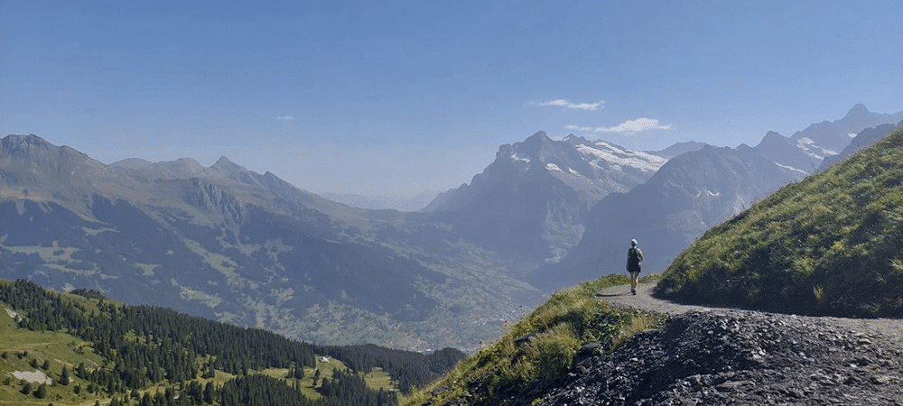 Vergoeding haptotherapie